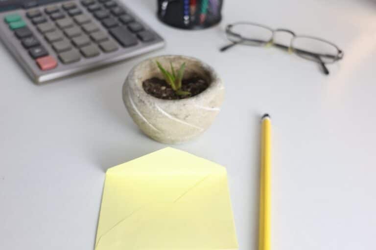 stress reducing office desk plants