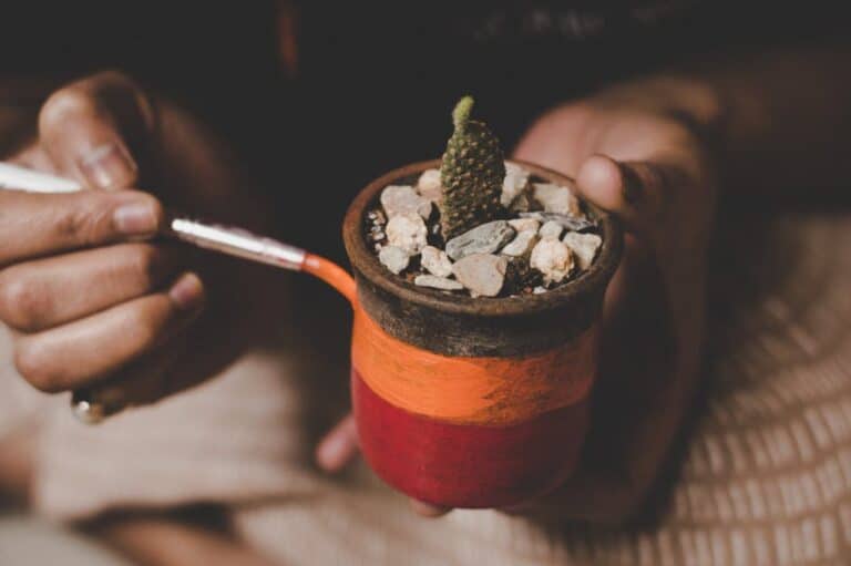 DIY succulent pot crafts