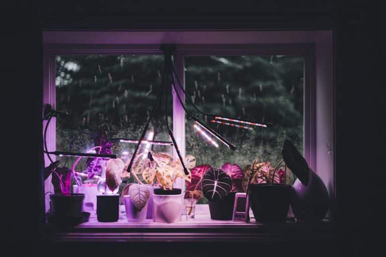LED grow light schedule