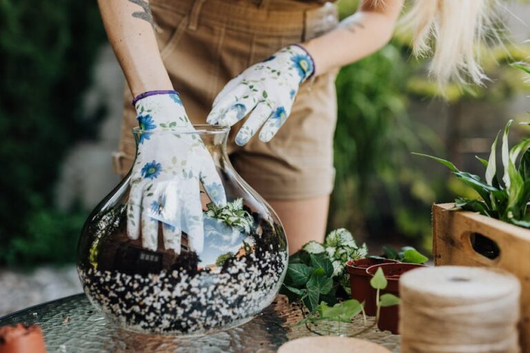 make your own terrarium