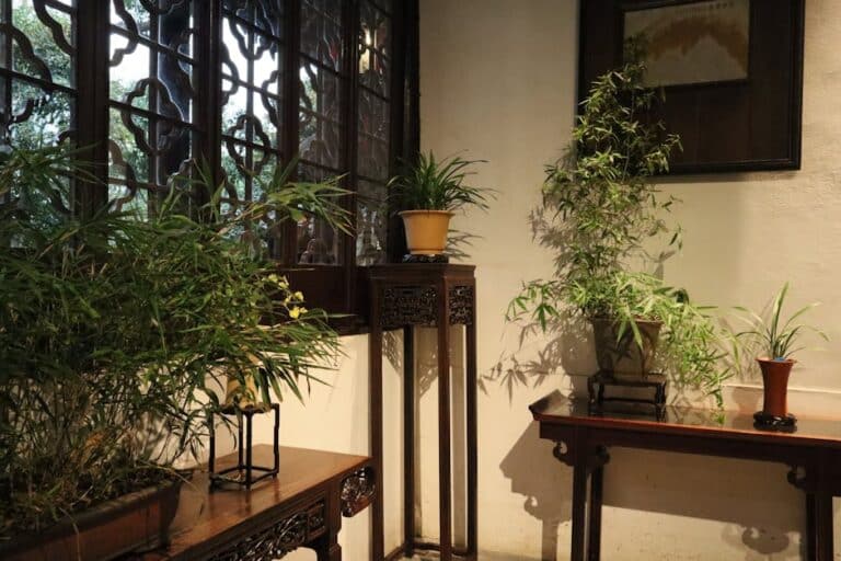 bamboo indoor plant stand